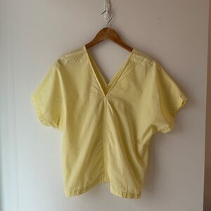 Black Crane Lemon V-Neck Top